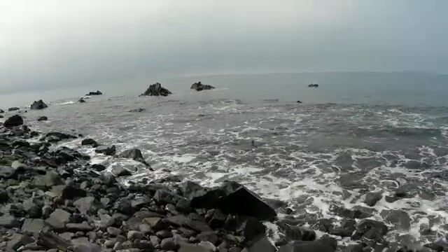 Морская рыба и купание на отдыхе в Андреевке