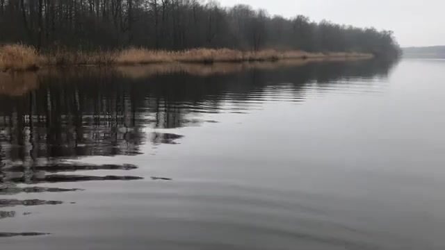 Первая январская щука Лешки в Калининградской области