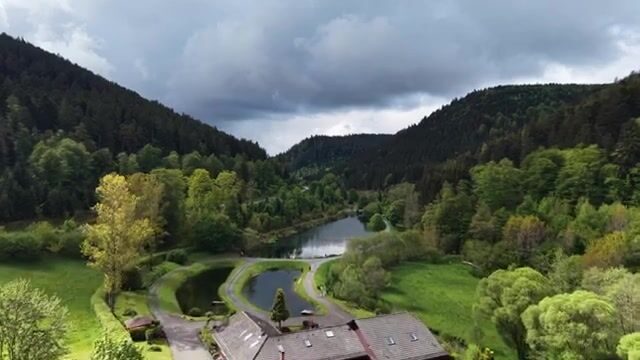 Форель и голец в Германии