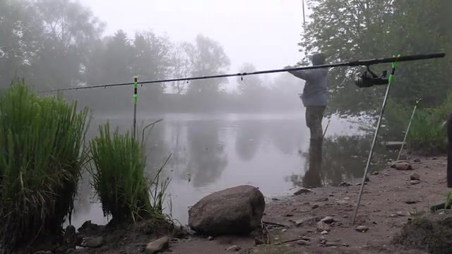 Утренняя ловля густеры на Полесском канале
