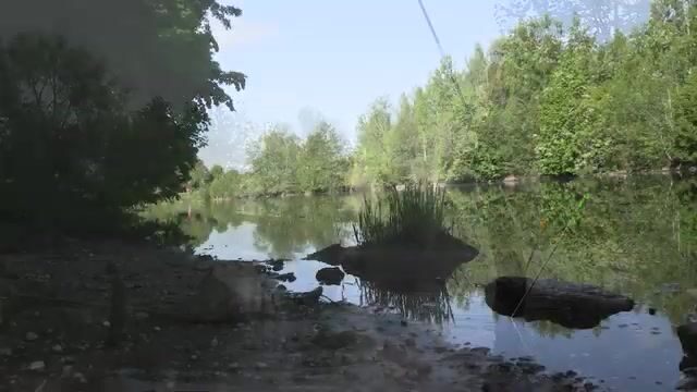 Утренняя ловля густеры на Полесском канале