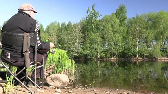 Утренняя ловля густеры на Полесском канале