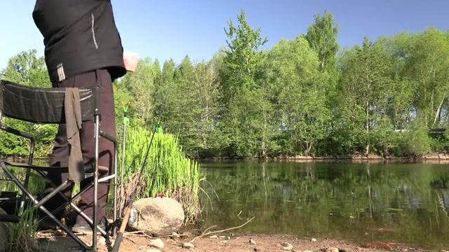 Утренняя ловля густеры на Полесском канале