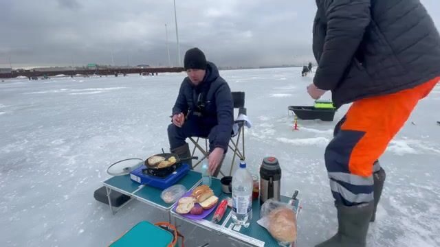 Плотва на Финском заливе у Лахта-центра