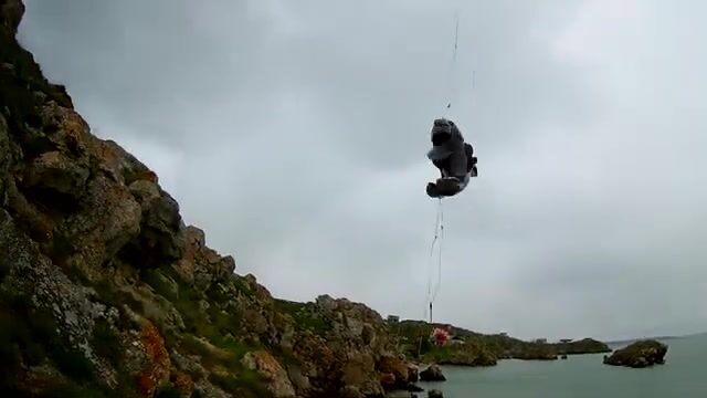 Бычок с мыса в Щелкино