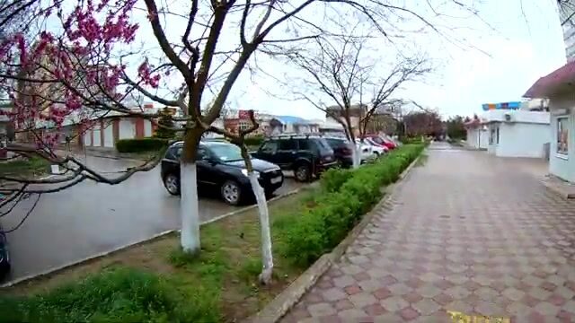 Бычок с мыса в Щелкино