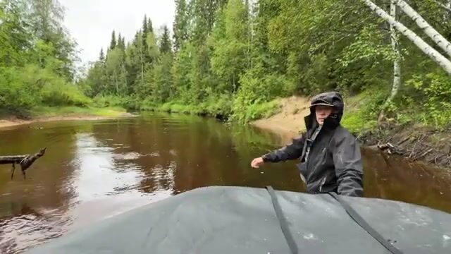 Щука ребенка на притоке в архангельской тайге