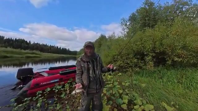 Щука ребенка на притоке в архангельской тайге