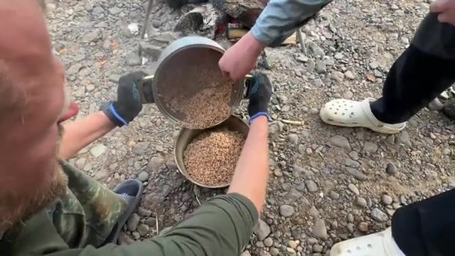 Щука ребенка на притоке в архангельской тайге