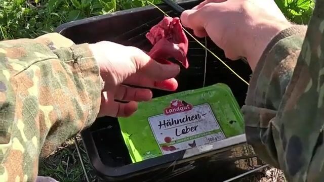 Приятель обловил по карпу на озере в Германии