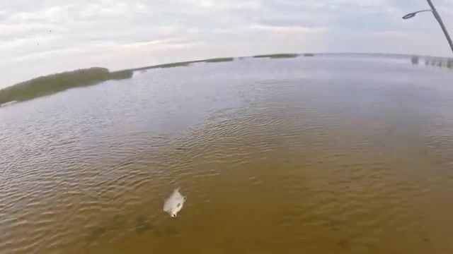Мормышинг на Финском заливе