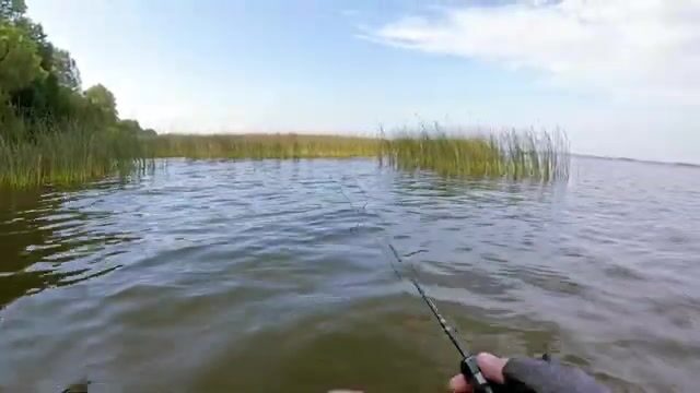 Мормышинг на Финском заливе
