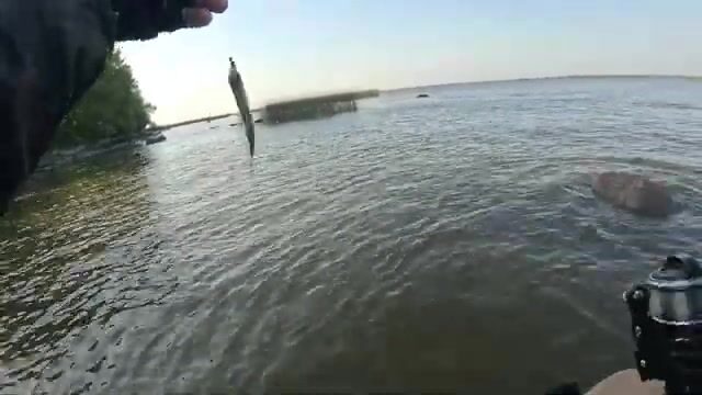 Мормышинг на Финском заливе