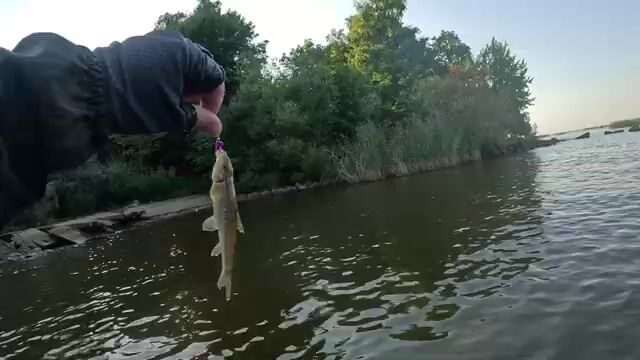 Мормышинг на Финском заливе