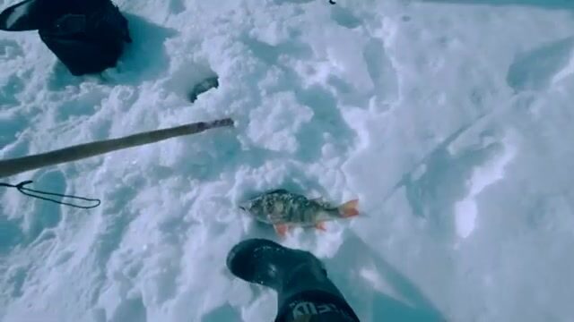 Зимняя рыбалка на Красноярском водохранилище