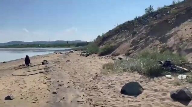 Улов Сергея во время пляжного отдыха в Печенге