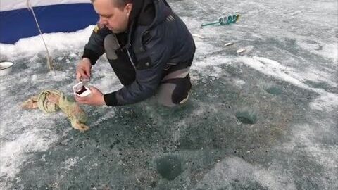 Поиск килограммового окуня в заливах Красноярского моря