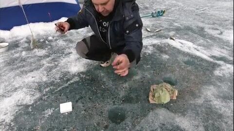 Поиск килограммового окуня в заливах Красноярского моря