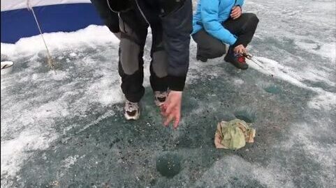 Поиск килограммового окуня в заливах Красноярского моря