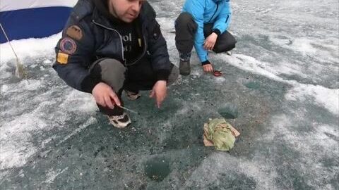 Поиск килограммового окуня в заливах Красноярского моря