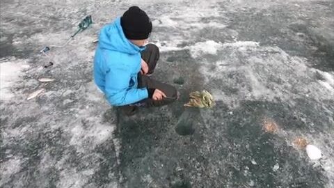 Поиск килограммового окуня в заливах Красноярского моря