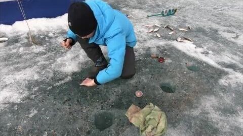 Поиск килограммового окуня в заливах Красноярского моря