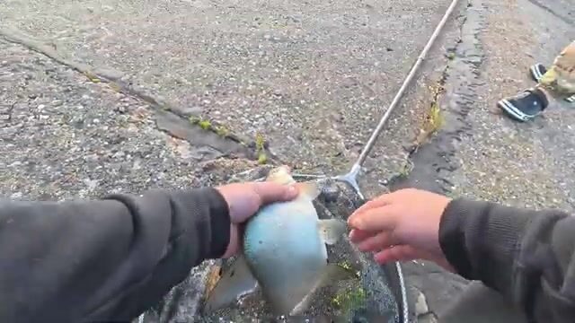 Ветреный день на Горьковском водохранилище и переезд на Волгу