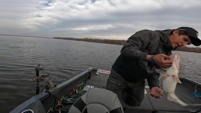 Поиски судака в ледовой обстановке на Горьковском водохранилище