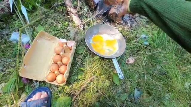 Лесная речка в Лойге на дрезине по узкоколейке