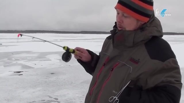 Окунь на балансиры и плотва на безмотылку на Горьковском море в Сокольском районе
