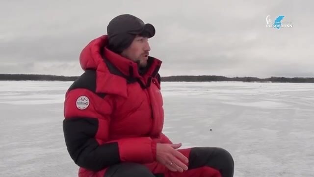Окунь на балансиры и плотва на безмотылку на Горьковском море в Сокольском районе