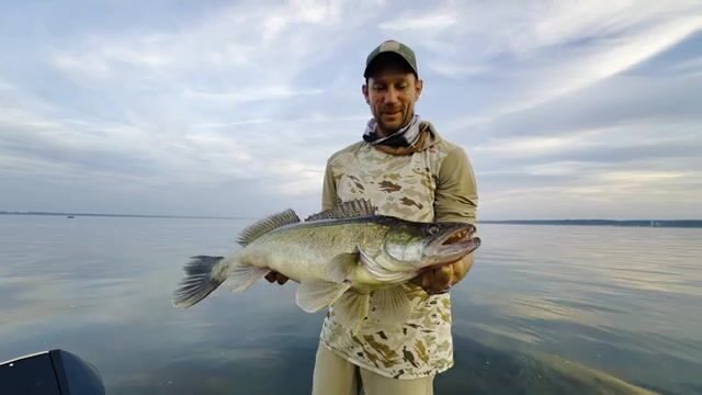 Вечерний выход за судаком с лодки на Горьковском водохранилище
