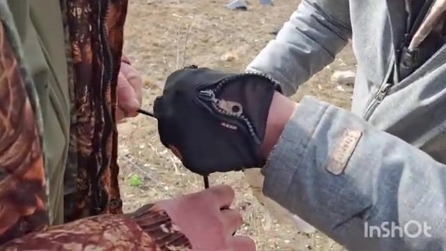 Судаки и щука на степной речке в Волгоградской области