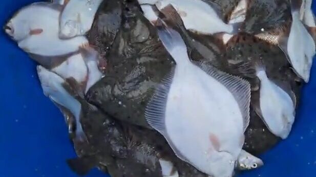 Сети на Карском море у Карских ворот