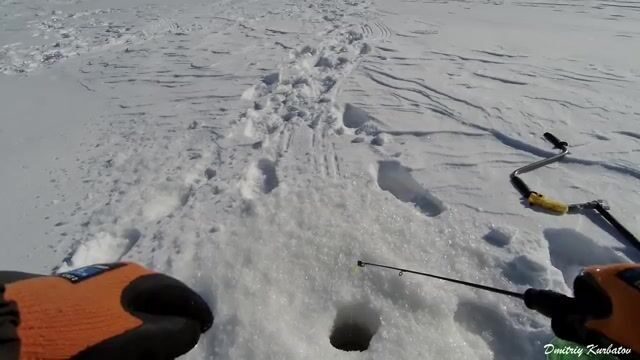 Ходовая рыбалка на Обском море у Борового с отпусканием мелких судаков