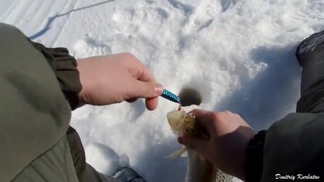 Ходовая рыбалка на Обском море у Борового с отпусканием мелких судаков