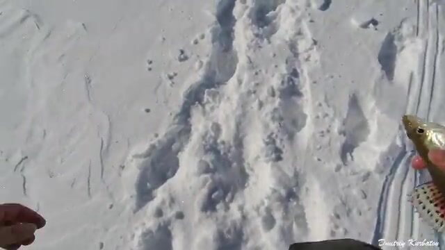 Ходовая рыбалка на Обском море у Борового с отпусканием мелких судаков