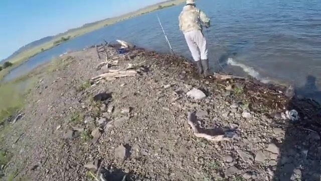 Ловля подлещика и сороги на Красноярском водохранилище с Андреем