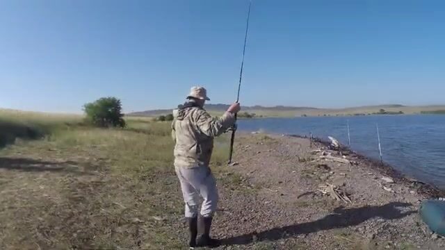 Ловля подлещика и сороги на Красноярском водохранилище с Андреем