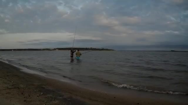 Пустой берег Обского моря и старт с прикормкой в пять утра