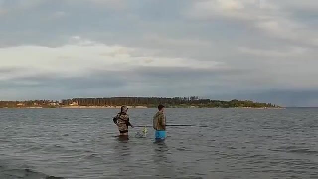Пустой берег Обского моря и старт с прикормкой в пять утра