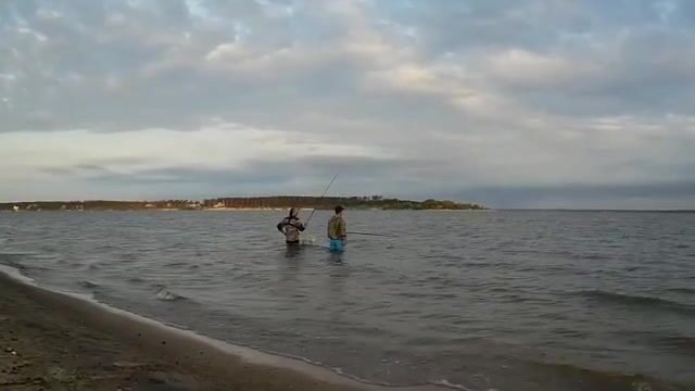 Пустой берег Обского моря и старт с прикормкой в пять утра