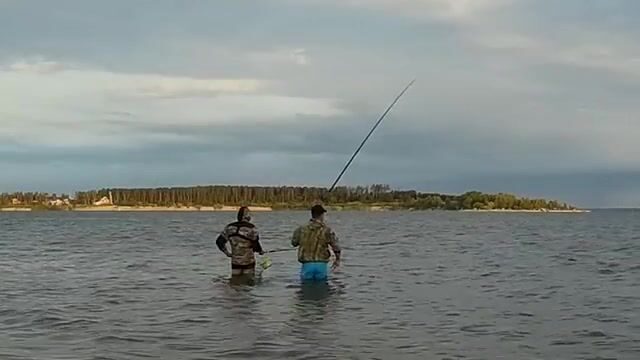 Пустой берег Обского моря и старт с прикормкой в пять утра