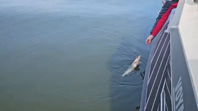 Ночлег с печкой после шторма на Красноярском водохранилище