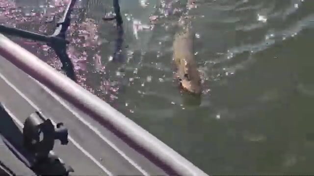 Ночлег с печкой после шторма на Красноярском водохранилище