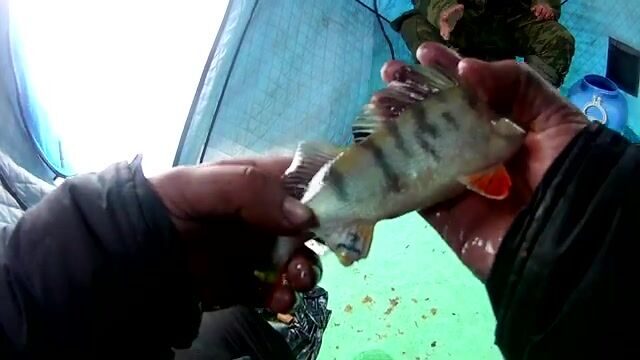 Закрытие сезона на Братском водохранилище
