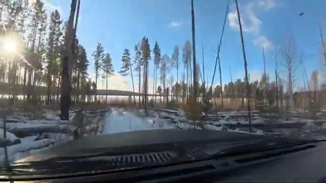 Два дня с жерлицами и окуневой мелочью на Братском водохранилище