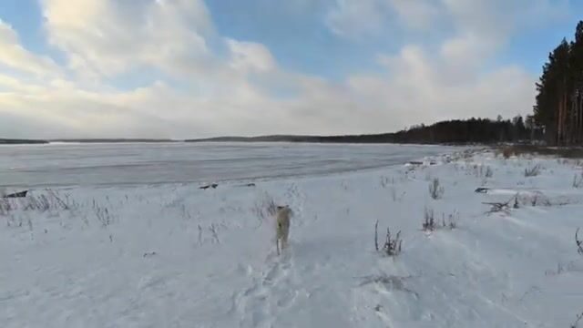 Два дня с жерлицами и окуневой мелочью на Братском водохранилище