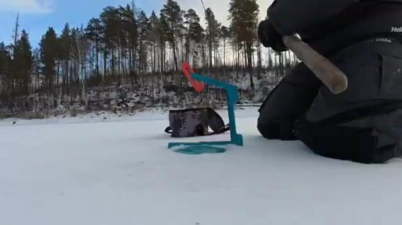 Два дня с жерлицами и окуневой мелочью на Братском водохранилище