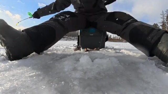 Два дня с жерлицами и окуневой мелочью на Братском водохранилище